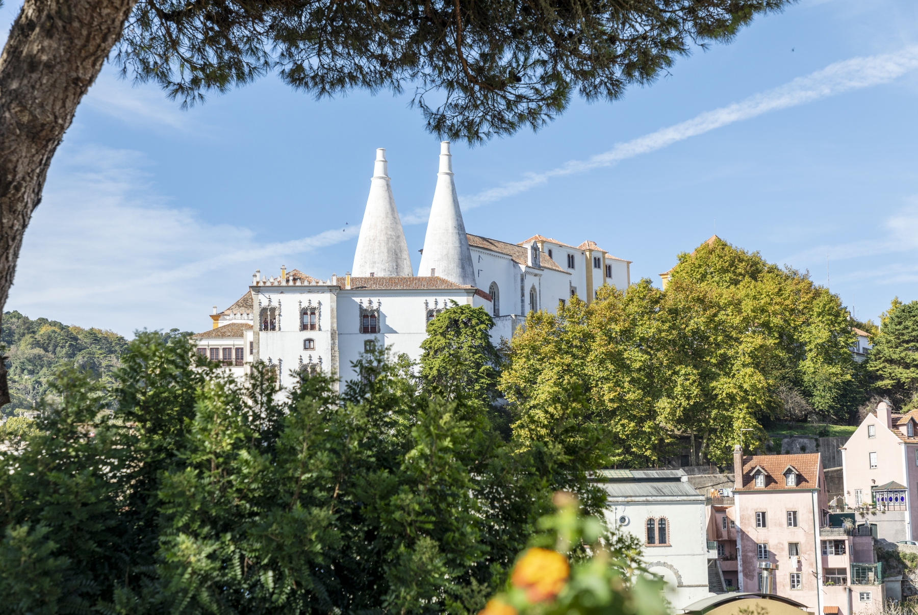 /gallery/west_europe/portugal/estremadura/sintra/Palacio Nacional Sintra 2023-001_med.jpg